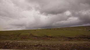 草原上的阴沉天空
