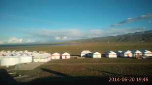 草原上的白色帐篷群