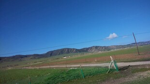 草原公路边的开阔风景