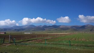 广阔田园风光 蓝天白云