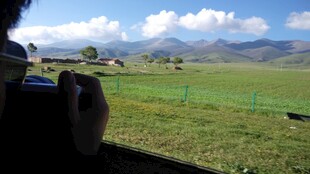 草原风光中的摄影瞬间