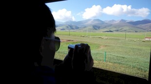 车中视角看广袤绿野风光