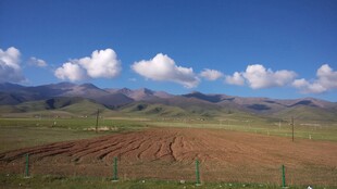 广袤田野与蓝天白云美景