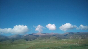 蓝天白云下的广袤原野