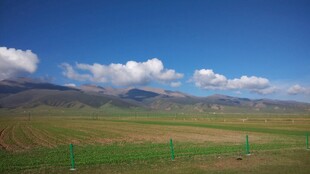 辽阔草原与远处山峦美景