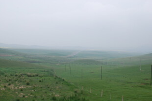 草原雨景 绿意盎然