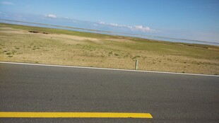 公路边的开阔原野风光