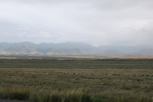 广袤草原与远处山峦