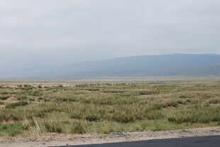 公路边的开阔草原景观