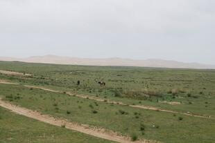 广袤草原中的蜿蜒小路