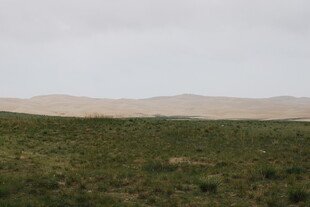 广袤草原与远处山峦景观