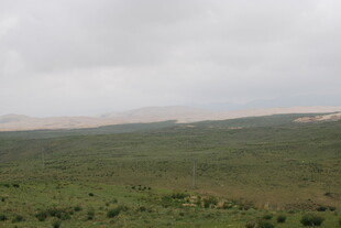 广袤绿野 天际朦胧远景