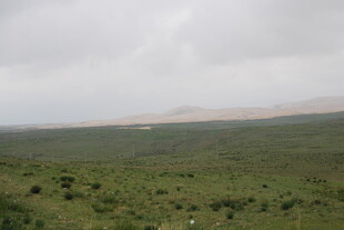 广袤草原与远处山峦景观