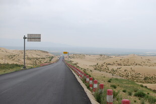 沙漠公路旁绽放的艳丽花朵