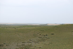 广袤草原 留下串串足迹