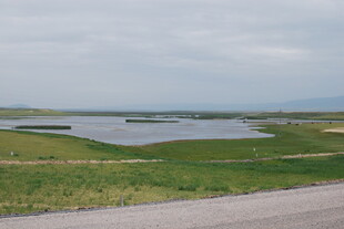 公路旁的湿地风光