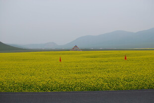 金黄田野与远山风景