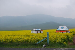 草原花海中的特色小屋