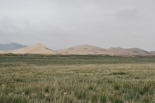 广袤草原与远处沙丘景观