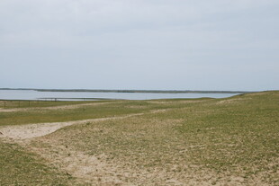 广袤草原与远处水域景观