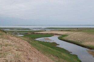 湿地风光 蜿蜒河流与草地