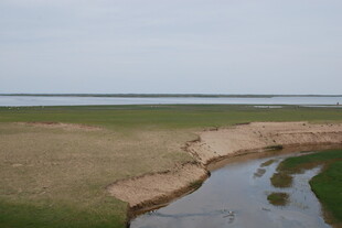 河岸风光 草地与河水相依