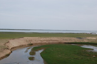 湿地风光 蜿蜒河流与绿地