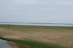 广阔草原与远处水域景观