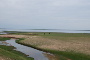 广袤湿地中的蜿蜒小河