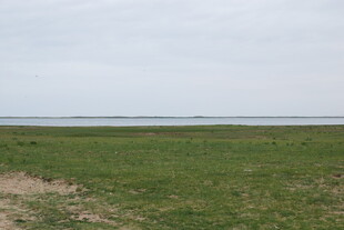 广袤草原与远处水域景观