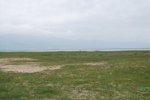 广袤草原 天际线隐约可见