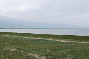 草原边的广阔水域景观