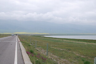 公路旁的开阔水域风景