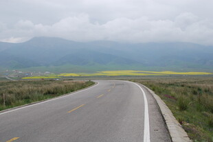 蜿蜒公路旁的田园风光