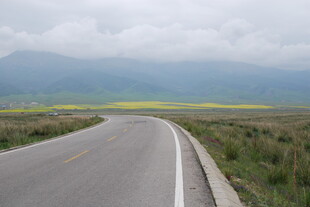 蜿蜒公路旁的壮美田园风光