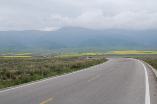 蜿蜒公路旁的田园风光