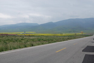 公路旁的田野与远山风景