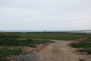 乡间土路 广袤田野风光