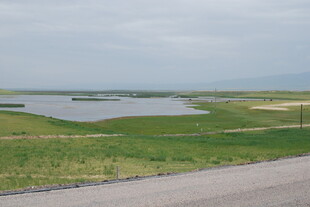 草原边的宁静湖泊风光