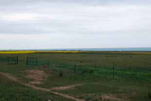 田野风光中的围栏与土路