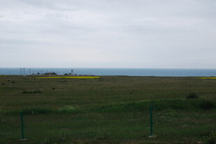 草原与海的辽阔景致