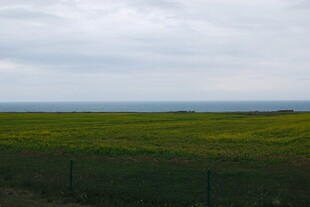 广袤草原与天际线美景