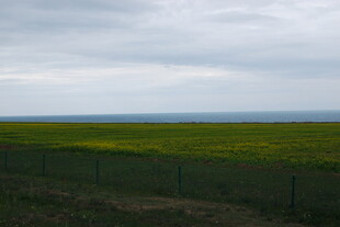 草原花海与天际线景观