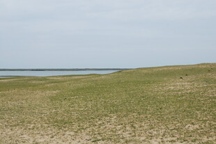 广袤草原与远处水域景观
