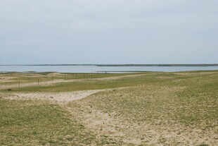 广袤草原与远处水域景观