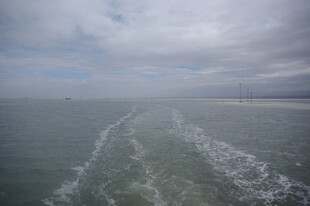 海上行舟留下白色航迹