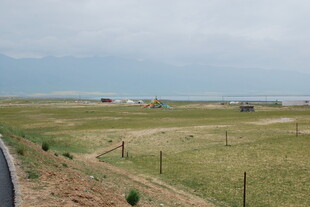 草原风光 开阔牧场景致