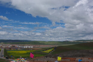 草原风光下的多彩田野