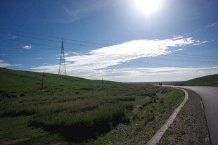 草原公路旁的明媚风光