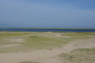 广袤草原与远处蓝天相接